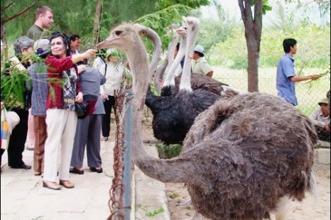 Tour Du Lịch Hà Nội - Sài Gòn - Mũi Né - Nha Trang 7 Ngày